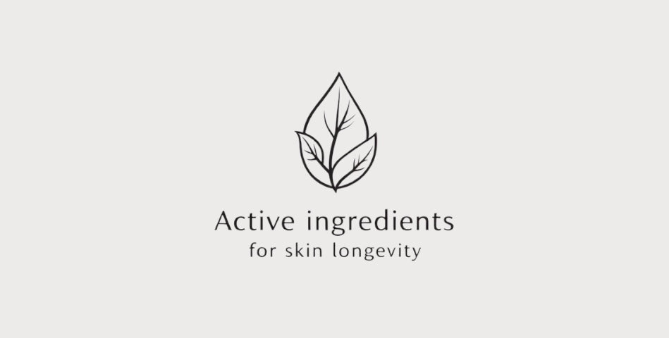 Wirkstoffe für Skin Longevity