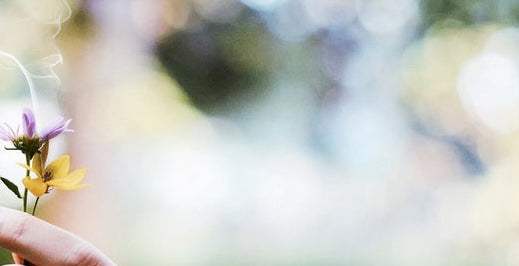 Naturkosmetik ohne Duftstoffe: Warum parfümfreie Pflege besser für Deine Haut ist