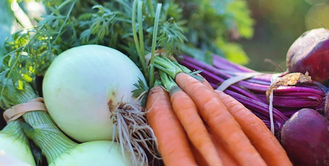 Ernährung & Hautgesundheit in den Wechseljahren